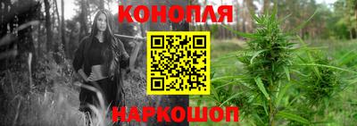 дмт Кингисепп