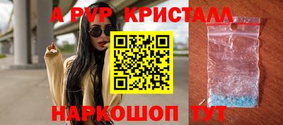 дмт Кингисепп