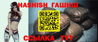 дмт Кингисепп