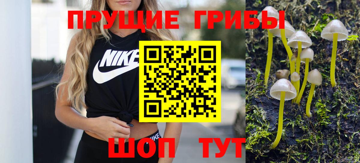 Галлюциногенные грибы MAGIC MUSHROOMS  где купить наркоту  Дюртюли  Галлюциногенные грибы Psilocybe 