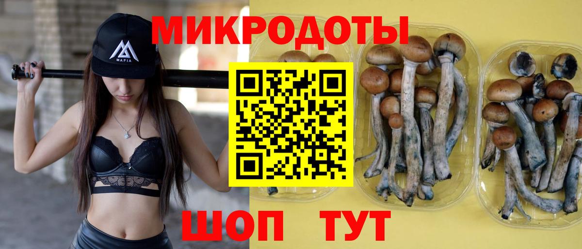 Псилоцибиновые грибы Magic Shrooms  Вход с VPN  Псилоцибиновые грибы MAGIC MUSHROOMS  Дюртюли 